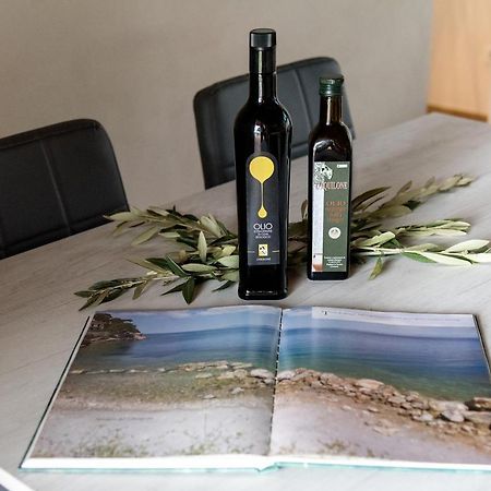 Agriturismo L'Aquilone 마글리아노 인 토스카나 외부 사진
