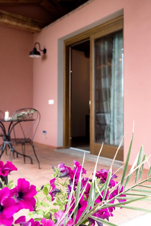 Agriturismo L'Aquilone 마글리아노 인 토스카나 외부 사진