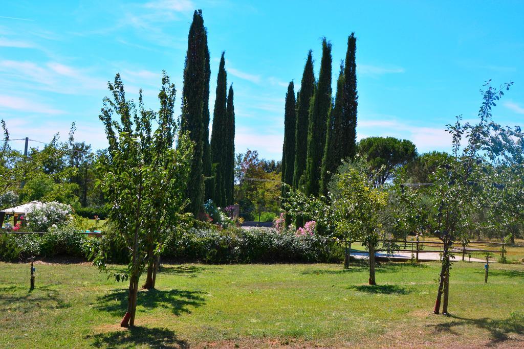 Agriturismo L'Aquilone 마글리아노 인 토스카나 외부 사진