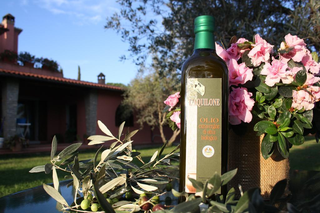 Agriturismo L'Aquilone 마글리아노 인 토스카나 외부 사진