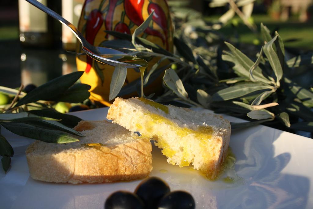 Agriturismo L'Aquilone 마글리아노 인 토스카나 외부 사진