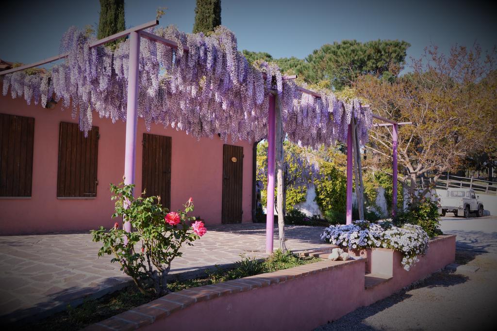 Agriturismo L'Aquilone 마글리아노 인 토스카나 외부 사진