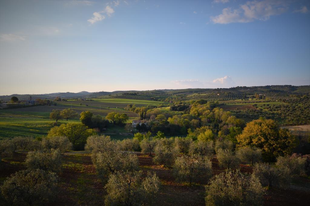 Agriturismo L'Aquilone 마글리아노 인 토스카나 외부 사진