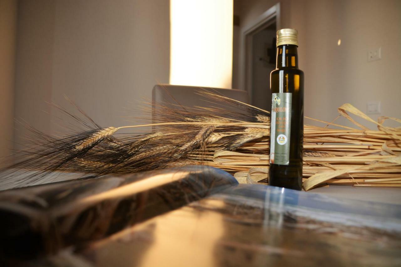 Agriturismo L'Aquilone 마글리아노 인 토스카나 외부 사진